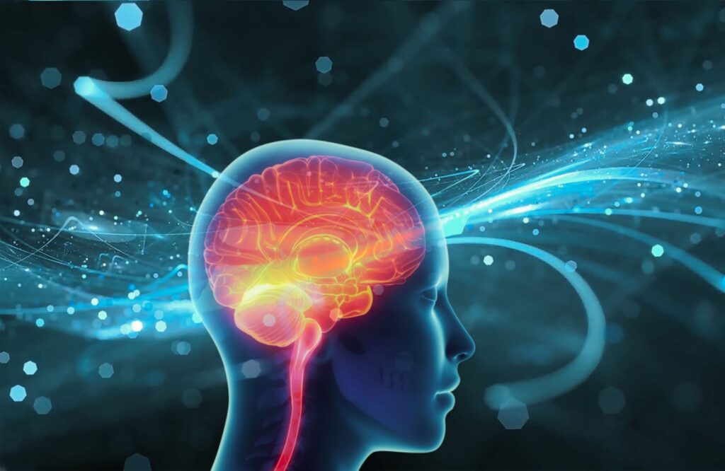 Neurociência da Manifestação: o que o seu cérebro faz quando você visualiza um objetivo